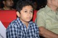 One Nenokkadine Audio Release Photos