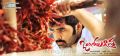 Actor Ram Pothineni in Ongole Githa Wallpapers