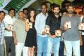 Ongole Gitta Movie Audio Release Function Stills