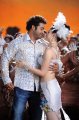 Jr NTR Tamanna Hot Oosaravelli New Stills