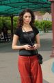 Oosaravelli Tamanna Cute Pics in Black Dress