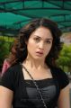 Oosaravelli Tamanna Cute Pics in Black Dress