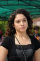 Telugu Actress Tamanna Cute Pics in Black Dress