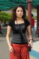 Oosaravelli Tamanna Cute Pics in Black Dress