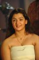 Actress Aarthi Agarwal in Operation Green Hunt Telugu Movie Stills