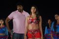 Operation Green Hunt Telugu Movie Stills