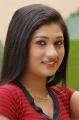 Oru Mazhai Naangu Saaral Tamil Movie Heroine Pics