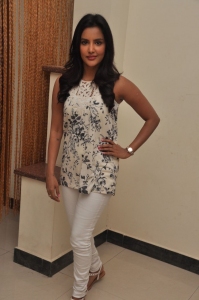 Actress Priya Anand @ Oru Oorla Rendu Raja Press Meet Photos
