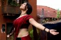 Osthi Actress Richa Gangopadhyay Hot Red Saree Photos