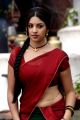 Osthi Richa Gangopadhyay Red Saree Hot Photos