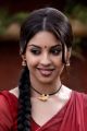 Osthi Richa Gangopadhyay Hot Red Saree Photos