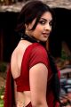 Actress Richa Gangopadhyay Hot in Red Saree Photos