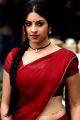 Osthi Richa Gangopadhyay Red Saree Hot Photos