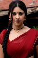 Osthi Richa Gangopadhyay Red Saree Hot Photos