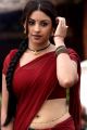 Osthi Richa Gangopadhyay Hot Red Saree Photos