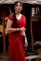 Osthi Richa Gangopadhyay Hot Photos in Red Saree