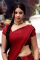 Osthi Richa Gangopadhyay Hot Photos in Red Saree