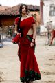 Osthi Richa Gangopadhyay Red Saree Hot Photos