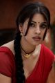 Osthi Richa Gangopadhyay Red Saree Hot Photos