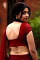 Actress Richa Gangopadhyay Hot in Red Saree Photos