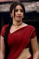 Osthi Richa Gangopadhyay Hot Photos in Red Saree