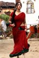 Actress Richa Gangopadhyay Hot in Red Saree Photos