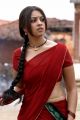 Actress Richa Gangopadhyay Hot in Red Saree Photos