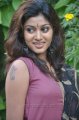 Oviya Cute Hot Stills