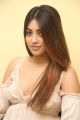 Telugu Actress Anu Emmanuel Interview about Oxygen Movie Stills.