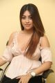 Oxygen Actress Anu Emmanuel Interview Stills