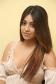 Telugu Actress Anu Emmanuel Interview about Oxygen Movie Stills.