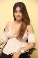 Telugu Actress Anu Emmanuel Interview about Oxygen Movie Stills.