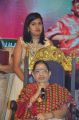 Singer Dr.P.Susheela Felicitation Chennai Stills