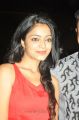 Actress Janani Iyer at Paagan Audio Launch Stills