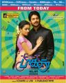 Janani Iyer, Srikanth in Paagan Movie Release Posters