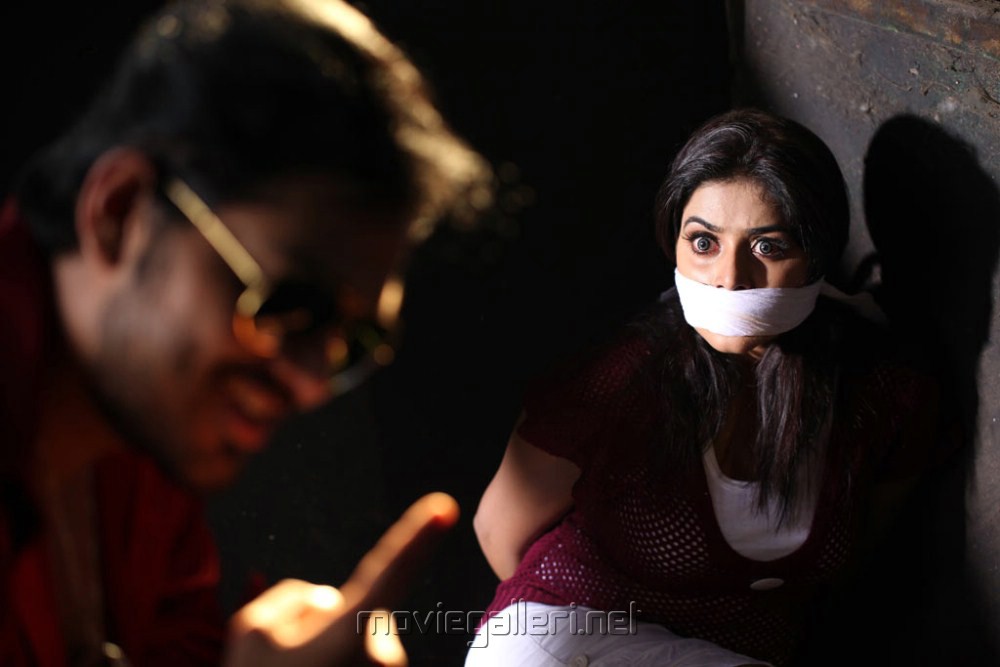 Padam Pesum Tamil Movie Stills Sakthi Vasu Poorna 5705