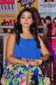 Actress Nithya Shetty @ Padesave Movie Team Interview Photos