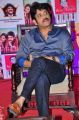 Akkineni Nagarjuna @ Padesave Movie Team Interview Photos