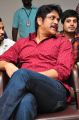 Nagarjuna @ Padesave Platinum Disc Function Stills