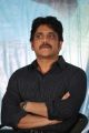 Akkineni Nagarjuna @ Padesave Movie Teaser Launch Stills