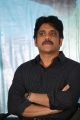 Akkineni Nagarjuna @ Padesave Movie Teaser Launch Stills