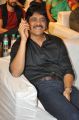 Nagarjuna @ Padesave Movie Audio Launch Stills