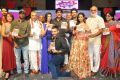 Padesave Movie Audio Launch Stills