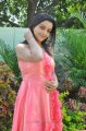 Padmini Photo Shoot Stills