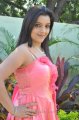 Padmini Photo Shoot Stills