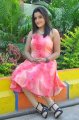 Padmini Photo Shoot Stills