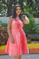 Padmini Telugu Actress Stills