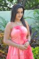 Padmini Telugu Actress Stills