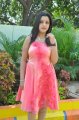 Padmini Photo Shoot Stills