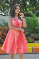 Padmini Photo Shoot Stills